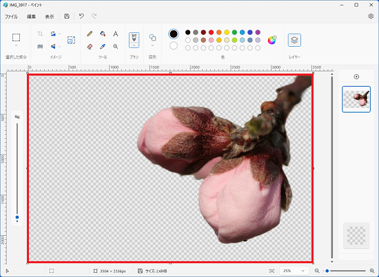 自動的に背景が削除されたことを確認