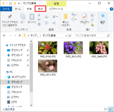 「表示」タブをクリック