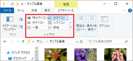 「レイアウト」欄で、表示方法を確認・変更