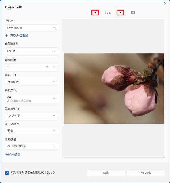 選択している写真を確認