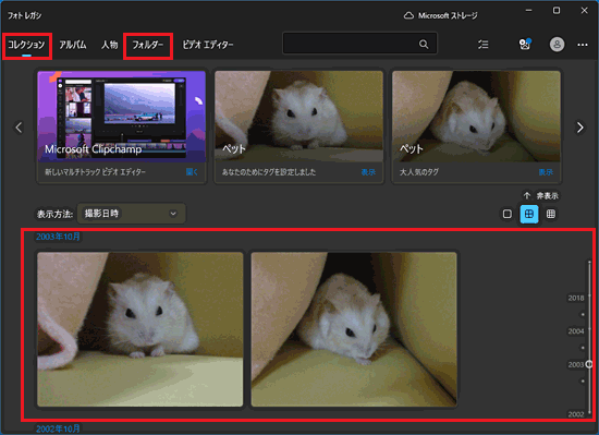 表示を確認する