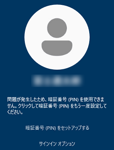 PINの入力欄が表示されない場合