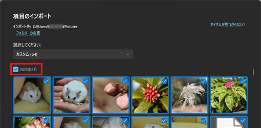 年月のチェックボックス