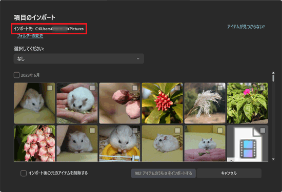「項目のインポート」