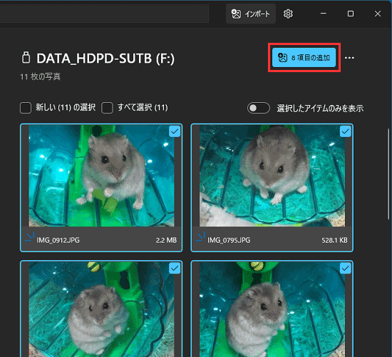 「項目の追加」ボタンをクリック