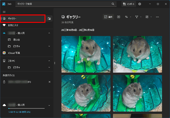 「ギャラリー」ボタンをクリックする