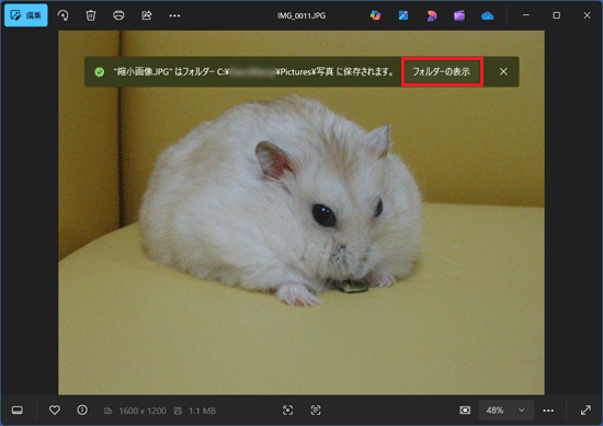 「フォルダーの表示」ボタンをクリック