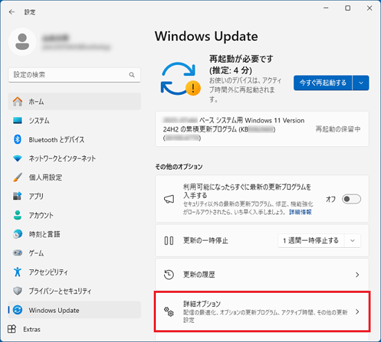 「詳細オプション」をクリック