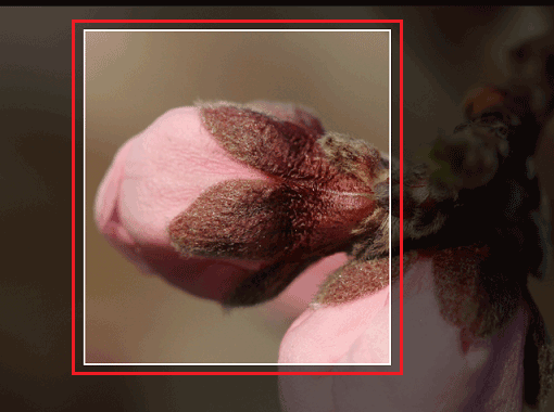 四角形モードでの切り取り