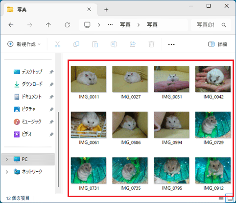 サムネイルの表示確認