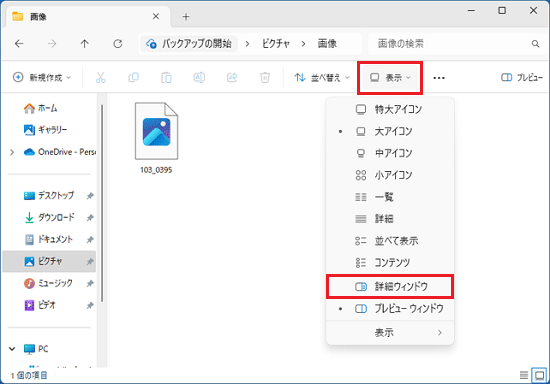 「表示」をクリック→「詳細ウィンドウ」をクリック