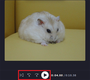 上にあるプレビュー画面の「再生」、「5秒戻る」、「5秒進む」ボタンなどで移動