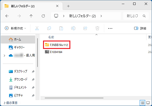 コピーされたファイルをダブルクリックし、フォルダーの例