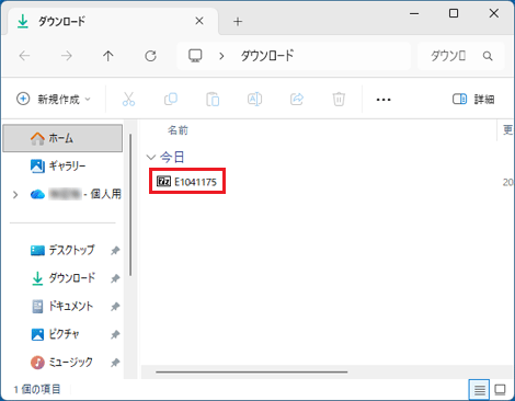 「E1041175」（または「E1041175.exe」）のアイコンをダブルクリック