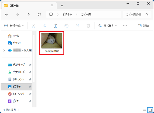 ファイルがコピーされたことを確認