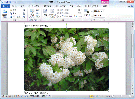 画像ファイルが挿入されたことを確認