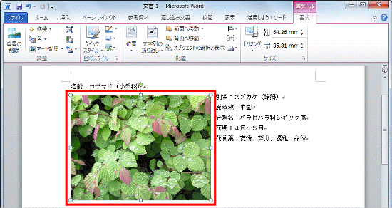 画像ファイルが変更されたことを確認