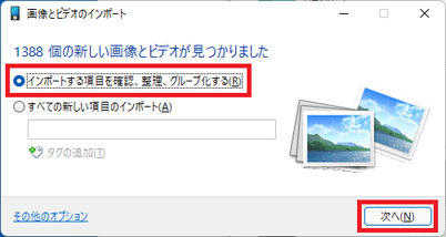 「インポートする項目を確認、整理、グループ化する」にチェックを入れ、「次へ」ボタンをクリック