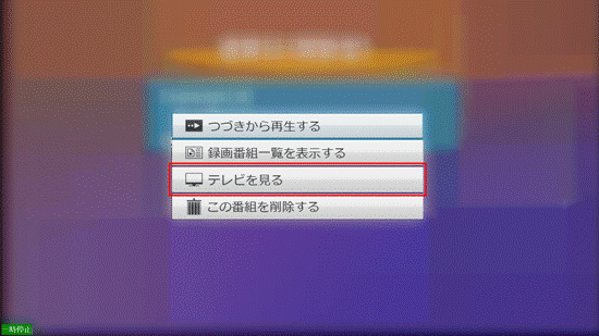 テレビを見るを選択して決定ボタンを押す