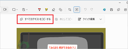 「すべてのテキストをコピーする」をクリック
