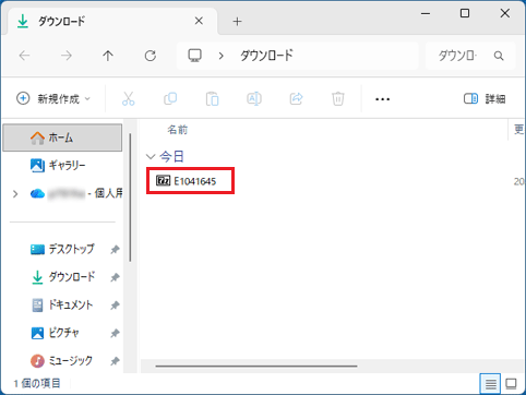 「E1041645」アイコンをダブルクリック