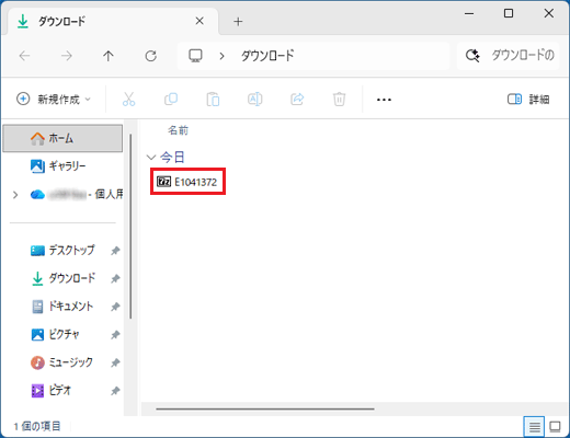 「E1041372」ファイルの表示例