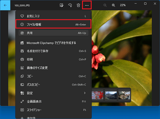 「…」→「詳細」の順にクリック