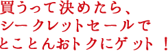 買うって決めたら、シークレットセールでとことんおトクにゲット!