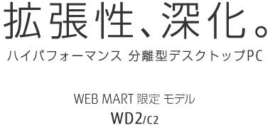 gAiB nCptH[}X ^fXNgbvPC WEB MART胂f WD2/C2