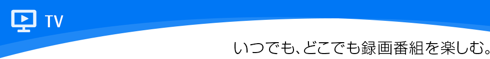 TVFłAǂł^ԑgyށB