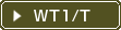 WT1/T
