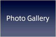 Photo Gallery