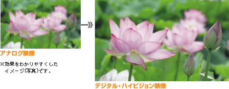 fW^EnCrWEer`[i[̌ʂ킩₷C[Wʐ^