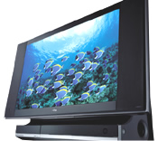 Dixel(fBNZ)eNmW[ 2005ăf