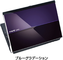 FMV-BIBLO LOOX R R/A50 R/A70 R70YR 70YN R70YNXでの動作保証2GB ...