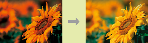 画質設定ユーティリティのイメージ