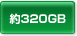 320GB