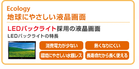 Ecology nɂ₳t LEDobNCg̗p̉t LEDobNCg̓ d͂ȂAMȂɂAɂ₳⃌XA璷g
