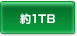 1TB