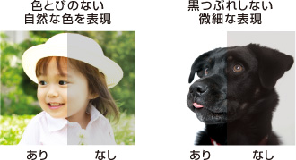 FƂт̂ȂRȐF\ ԂꂵȂׂȕ\