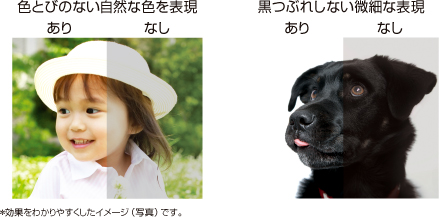 色とびのない自然な色を表現 黒つぶれしない微細な表現
