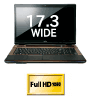 17.3^Ch Full HD