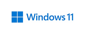 Windows 11