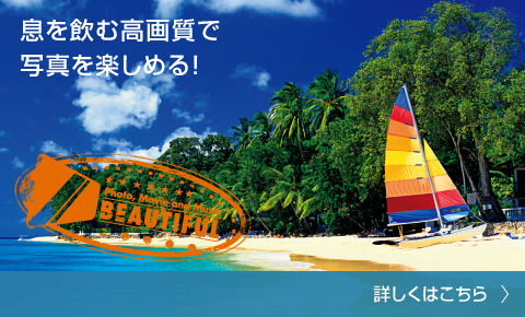 ލ掿Ŏʐ^y߂I ڂ͂B