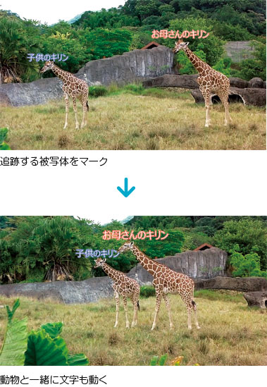 追跡する被写体をマーク → 動物と一緒に文字も動く