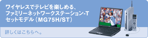 CXŃery߂At@~[lbg[NXe[V-TZbgfiMG75H/STj