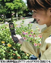 写真の携帯電話はNTTドコモのF900iC(別売)です。