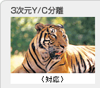 3����Y/C�����̃C���[�W�摜