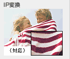 IP�ϊ��̃C���[�W�摜