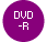 DVD-R
